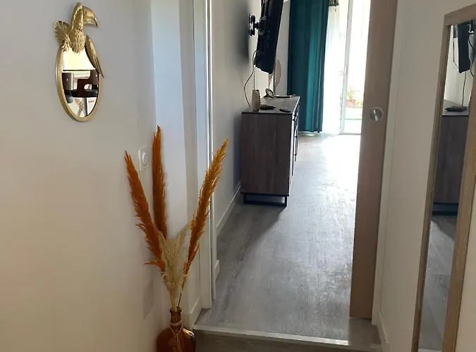 Lejlighed En Rez De Jardin Equipe